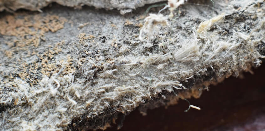 asbestos