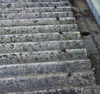 Close up of an asbestos roof