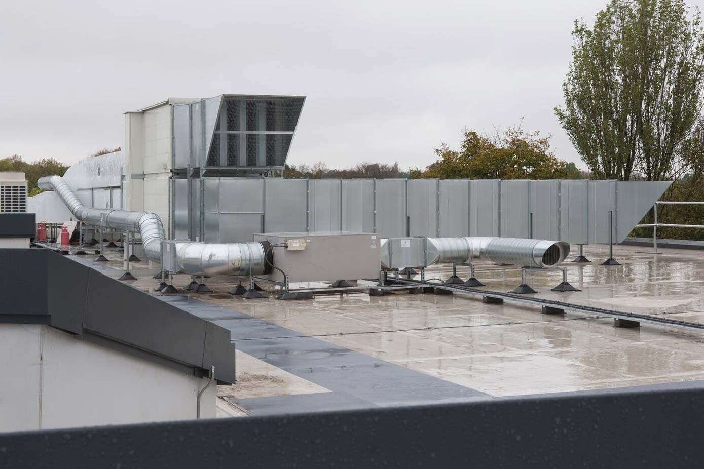 roof of harbourne academy